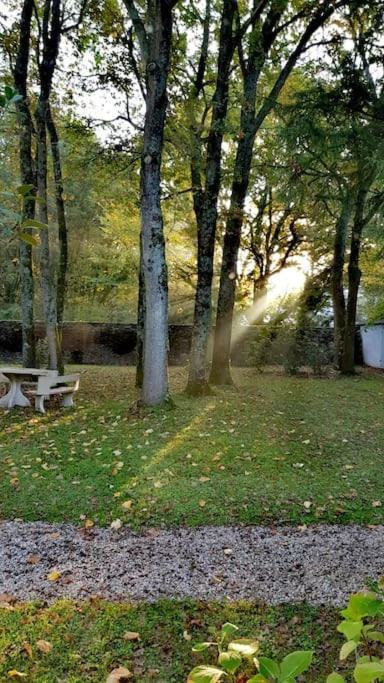 De Charme, Belle-beille